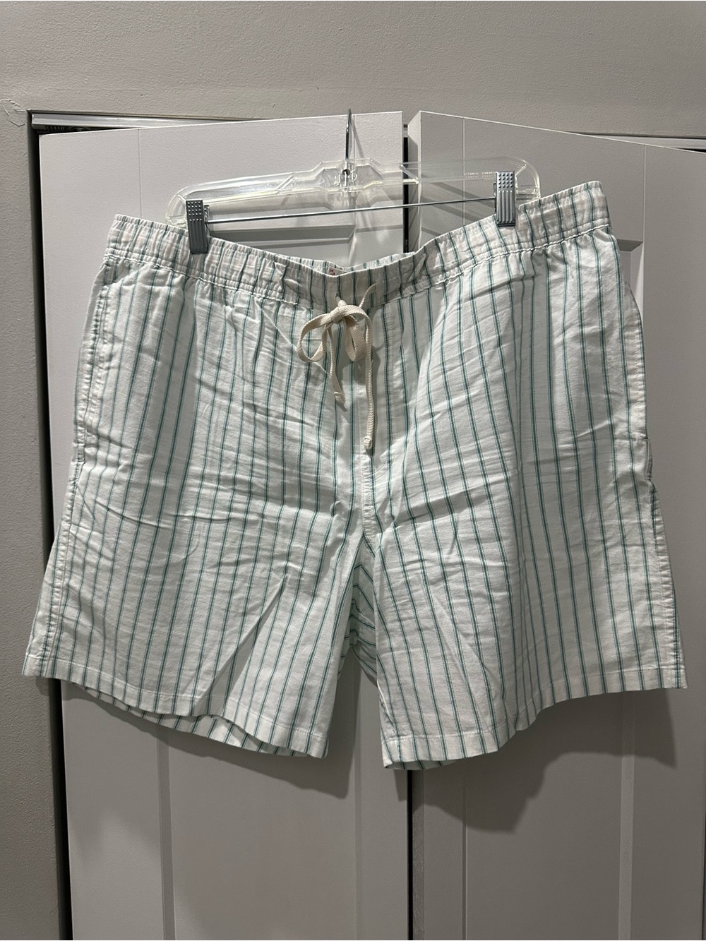 Men's J. Crew Light Green Stripe Casual Shorts